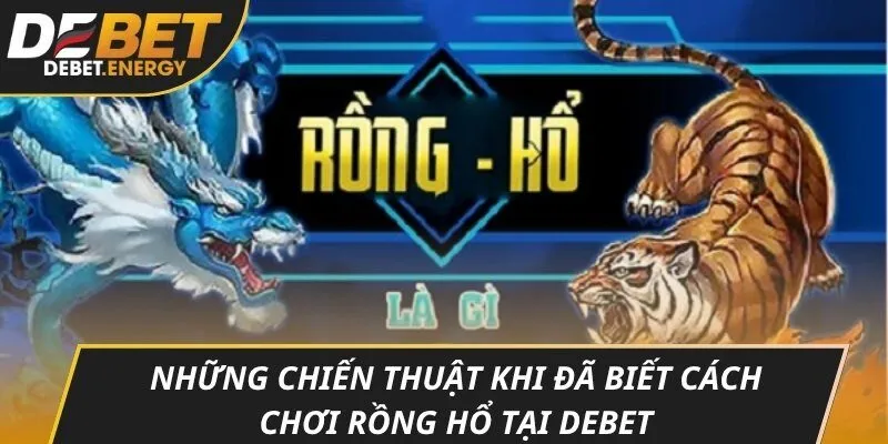 Những chiến thuật khi đã biết cách chơi rồng hổ tại DEBET